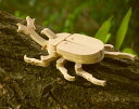 木の昆虫工作キット【かぶとむし】 木製玩具