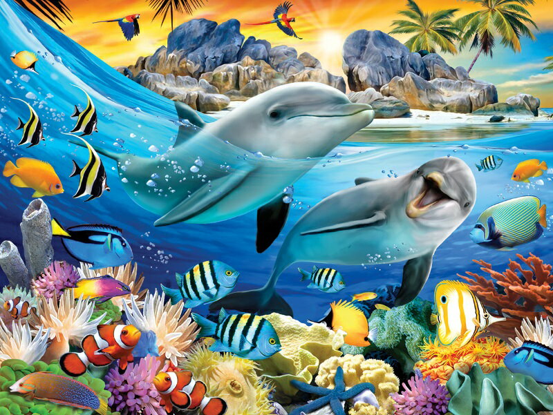3D ジグソーパズル 【島の夕暮れ】500ピース HowardRobinson イルカ 海 おうち時間 かわいい プレゼント 脳トレ 知育玩具
