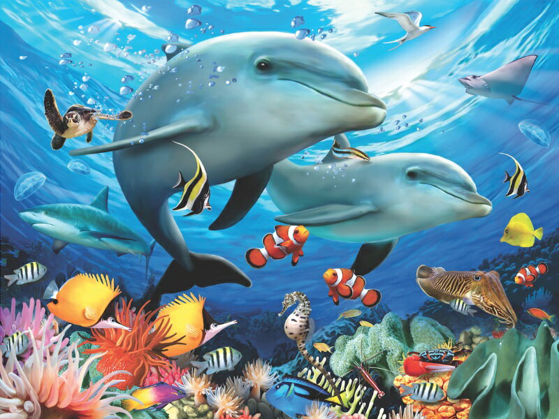 3D イルカ ジグソーパズル 【波の下では】500ピース HowardRobinson 海 イルカ 魚 おうち時間 かわいい プレゼント 脳トレ 知育玩具