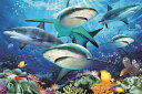 3D ジグソーパズル 【サンゴ礁のサメ】150ピース HowardRobinson サメ海 おうち時間 プレゼント 脳トレ 知育玩具