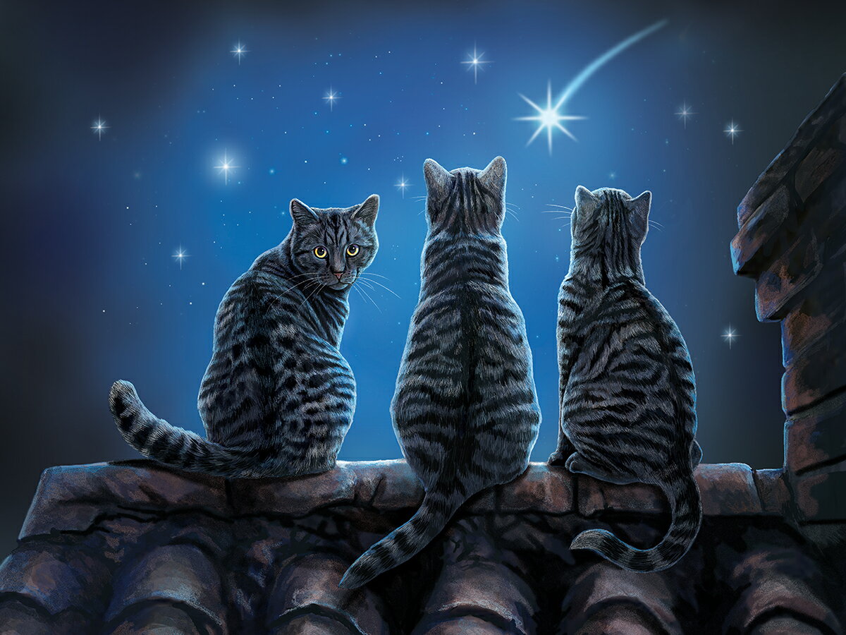 3D ねこ ジグソーパズル 【星に願いを】500ピース LisaParker ネコ おうち時間 かわいい 脳トレ プレゼント 知育玩具