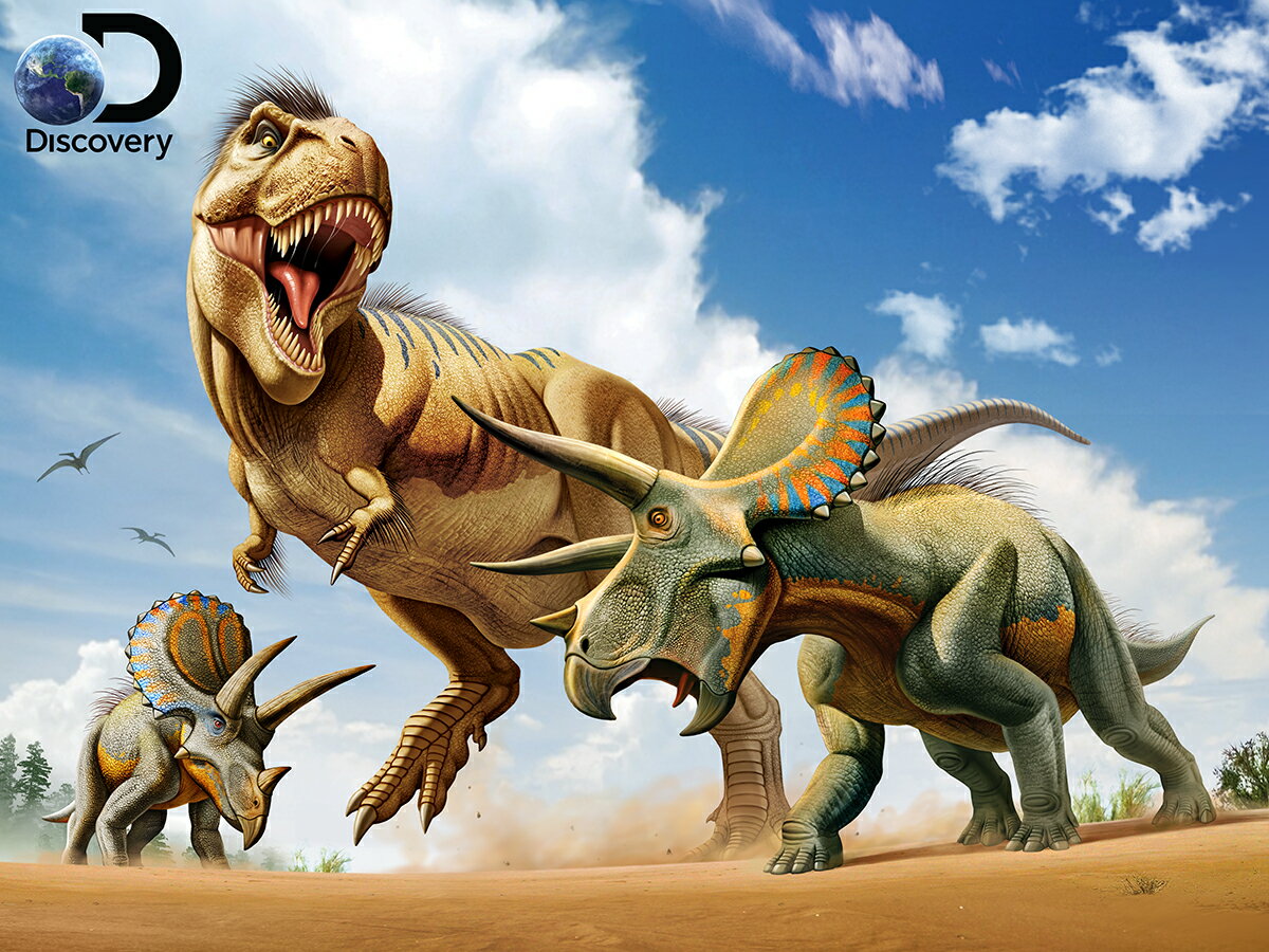 恐竜のパズル 3D ジグソーパズル 【ティラノサウルスVSトリケラトプス】500ピース Discovery 恐竜 T-REX おうち時間 脳トレ プレゼント 知育玩具 戦い