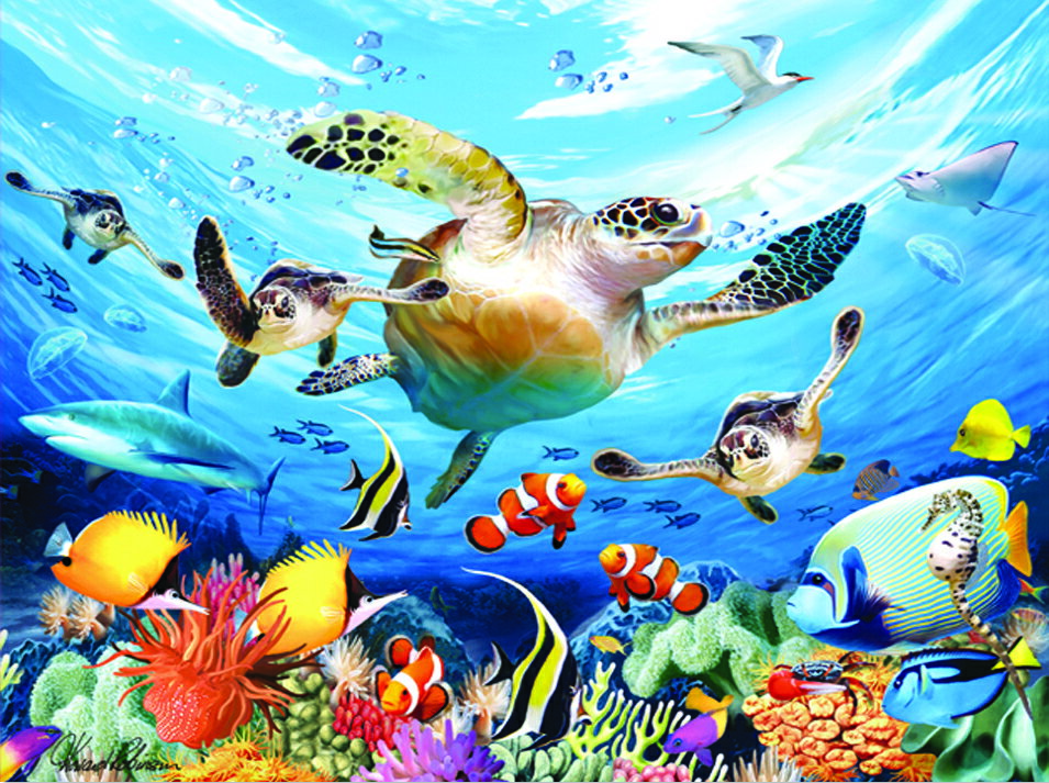 3Dݥڥߥι