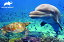 3D ジグソーパズル 【イルカ＆カメ】150ピース animal planet 海 魚 かわいい おうち時間 脳トレ プレゼント 知育玩具