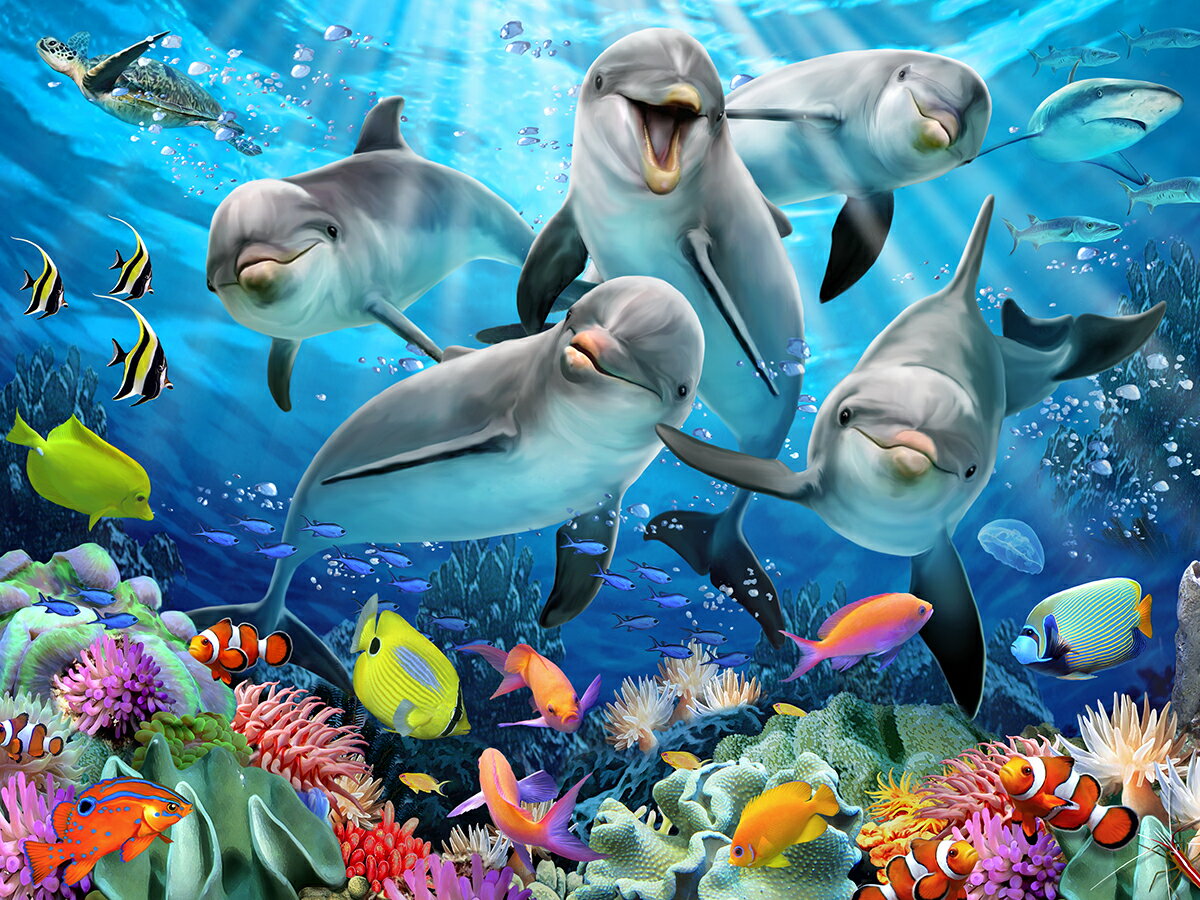 3D ジグソーパズル 【イルカの喜び】63ピース HowardRobinson 海 おうち時間 かわいい プレゼント 脳トレ 知育玩具 魚