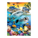3D クリアホルダー【島の夕暮れ】 魚 イルカ 熱帯魚 水族館 文房具 クリアファイル プレゼント
