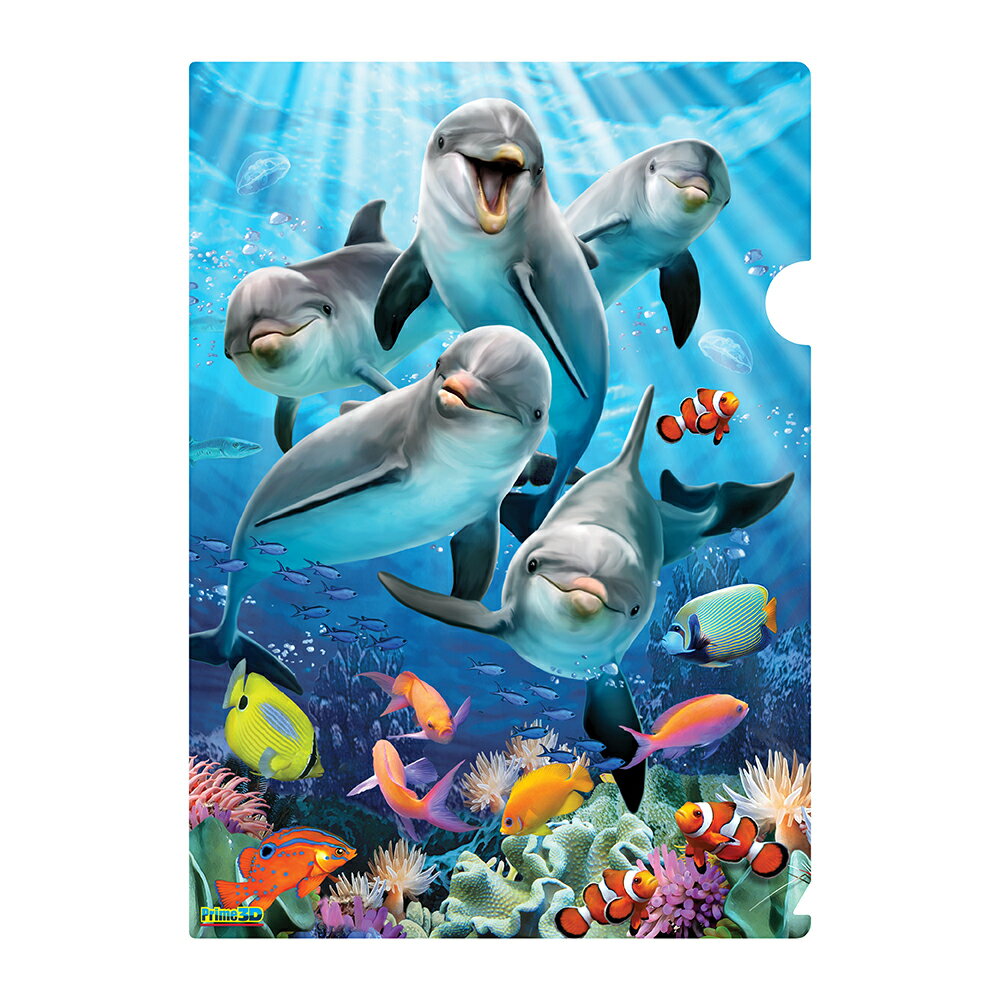 3D クリアホルダー【イルカの喜び】 魚 海 いるか 水族館 熱帯魚 文房具 クリアファイル プレゼント