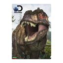 3D クリアホルダー【ティラノサウルス】 T-REX 恐竜 かっこいい 文房具 クリアファイル プレゼント