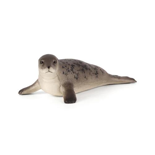 ハイイロアザラシ / mojo 動物 海 フィギュア