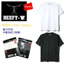 メール便対応 【キッズ】Hanes BEEFY-T 半袖Tシャツ 2枚組 （厚地半袖無地Tシャツ） 100cm/110cm/120cm/130cm/140cm HS8561/ビーフィ 2P入り 子供用 ヘインズ ビッフィ ヘビーウェイトTシャツ Hanes BEEFY コットン 綿100 KIDS 白 黒 pzgg【RCP】【あす楽】