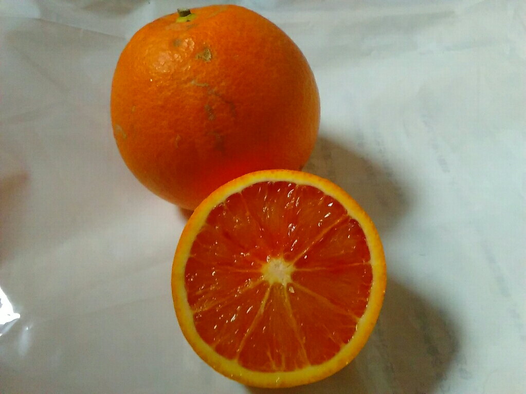 �֥�åɥ���� 1kg