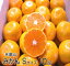 温州みかん Sサイズ10kg(約120個)送料無料 和歌山産 濃厚な味のとろける美味しさ