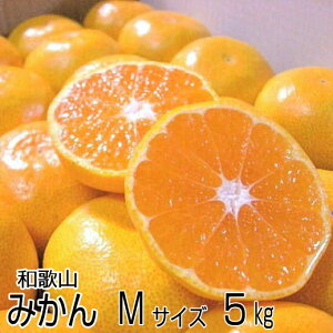 高糖度温州みかん Mサイズ 5kg（約50個）送料無料 和歌山産 濃厚な味のとろける美味しさ