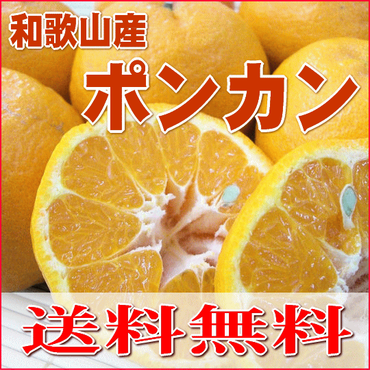 【送料無料】和歌山産　高糖度ポンカン【訳あり・家庭用】4.5kg