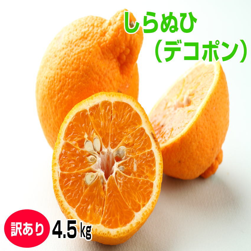 高糖度なデコポン（不知火）【訳あり・家庭用】4.5kg/しらぬひ 和歌山産 送料無料