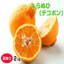 高糖度なデコポン（不知火）【訳あり・家庭用】2kg 和歌山産 送料無料