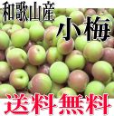 【送料無料】和歌山産 小梅 約2kg 少し訳あり