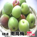 青梅 南高梅Lサイズ 3kg 梅シロップ