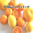 旬の柑橘詰め合わせ 訳あり 7kg 和歌山産 4種以上 柑橘セット