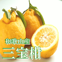 【送料無料】和歌山のめずらしい柑橘 三宝柑 【訳あり・家庭用】5kg