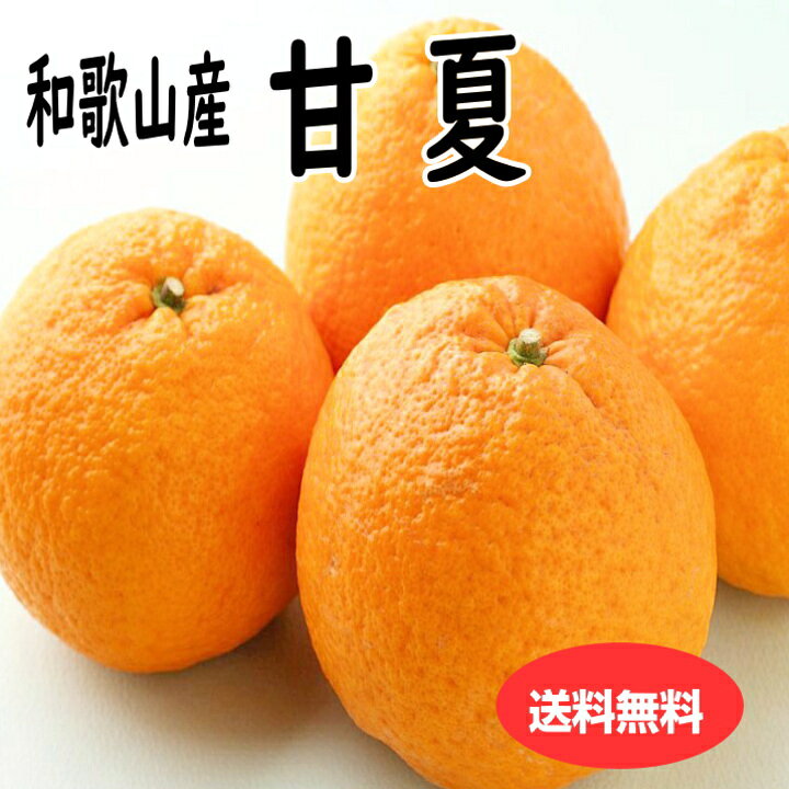 甘夏3kg和歌山産送料無料この甘酸...
