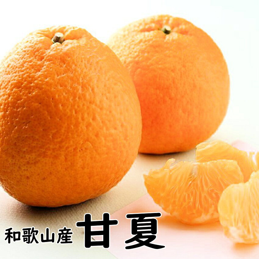 Amanatsu （Sweet Summer Orange） - 甘夏（あまなつ）3kg 送料無料 和歌山産 この甘酸っぱさがたまらない！