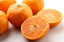 カラーマンダリン/なつみ 訳あり・家庭用 5kg 和歌山産 希少な完熟柑橘