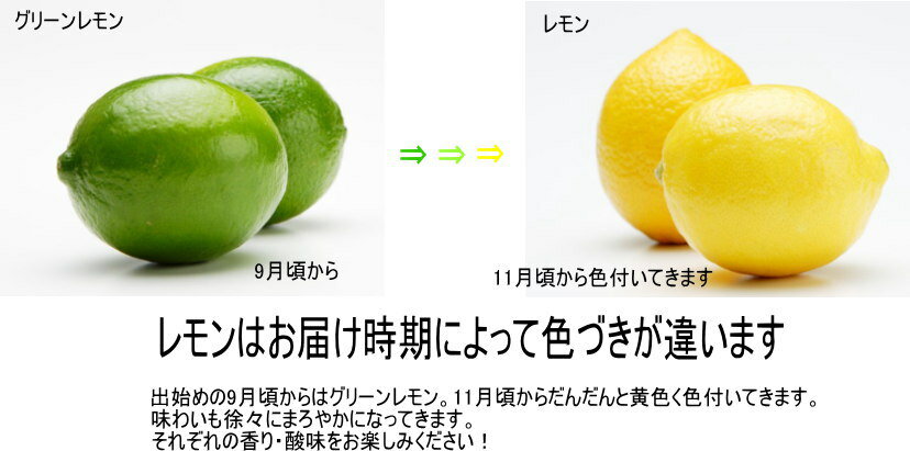 国産（和歌山産）グリーンレモン/レモン 訳あり 3kg 【防腐剤不使用/ノーワックス】
