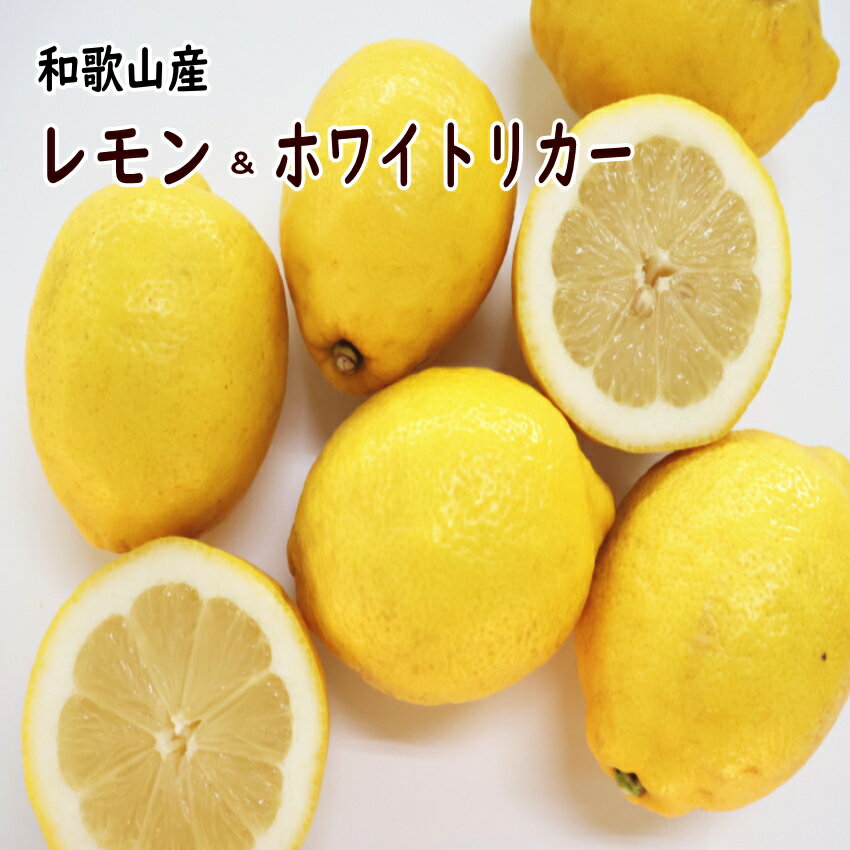 レモン/ホワイトリカーのセット 容量 レモン：1kg（5～13個） ホワイトリカー：1.8L　紙パック 　　　　　　（中野BC株式会社） 　　　　　アルコール度数：35度 産地和歌山県 &nbsp;配送 &nbsp;通常便（夏季はクール便プラス300円） ※北海道・沖縄・離島へのお届けは不可とさせて頂きます。 販売期間9月～6月 ◆出荷時には手選別にてチェックしておりますが、到着後レモンは冷蔵庫で保管し、新鮮なうちにお召し上がりください。和歌山産レモンとホワイトリカーのセットは、自然の恵みをそのままにお届けする特別な商品です。 ノーワックスで栽培されたレモンは、安心して皮までお楽しみいただけます。 このレモンは、鮮やかな黄色が特徴で、果汁が豊富に含まれており、そのまま食べても、料理やドリンクに加えても絶品です。 セットに含まれるホワイトリカーは、和歌山産レモンの清々しい香りと味わいを引き立てるために特別に選ばれたものです。 レモンの爽やかな酸味とリカーのまろやかな口当たりが絶妙にマッチし、特別な日のお祝いやリラックスタイムのお供に最適です。 和歌山から直送の新鮮な味わいを、ご家庭で心ゆくまでお楽しみください。