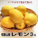 国産（和歌山産）グリーンレモン/レモン 秀品 3kg 防腐剤不使用/ノーワックス