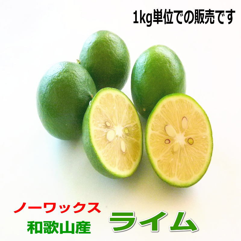 国産（和歌山産）ライム 1kg【ノーワックス・防腐剤不使用】少し訳ありのサムネイル