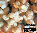 【送料無料】菊芋（キクイモ）生 3kg 和歌山産【無農薬】テレビで話題のスーパーフード