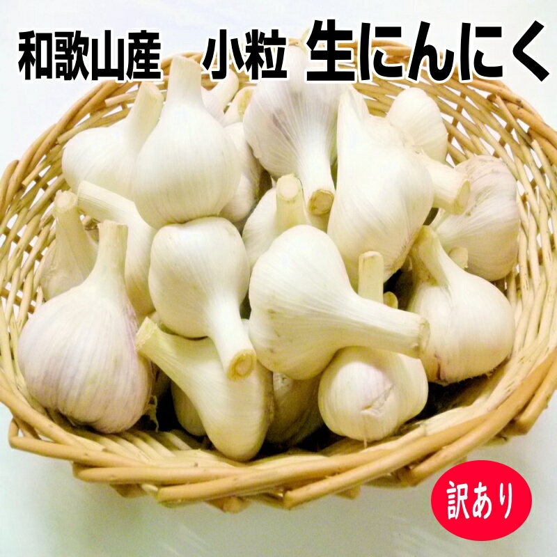 和歌山産 生にんにく 小粒 約3kg 訳あり/ご家庭用 送料無料