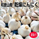 訳あり 乾燥にんにく 小粒 約1kg（30〜45個）和歌山産 送料無料