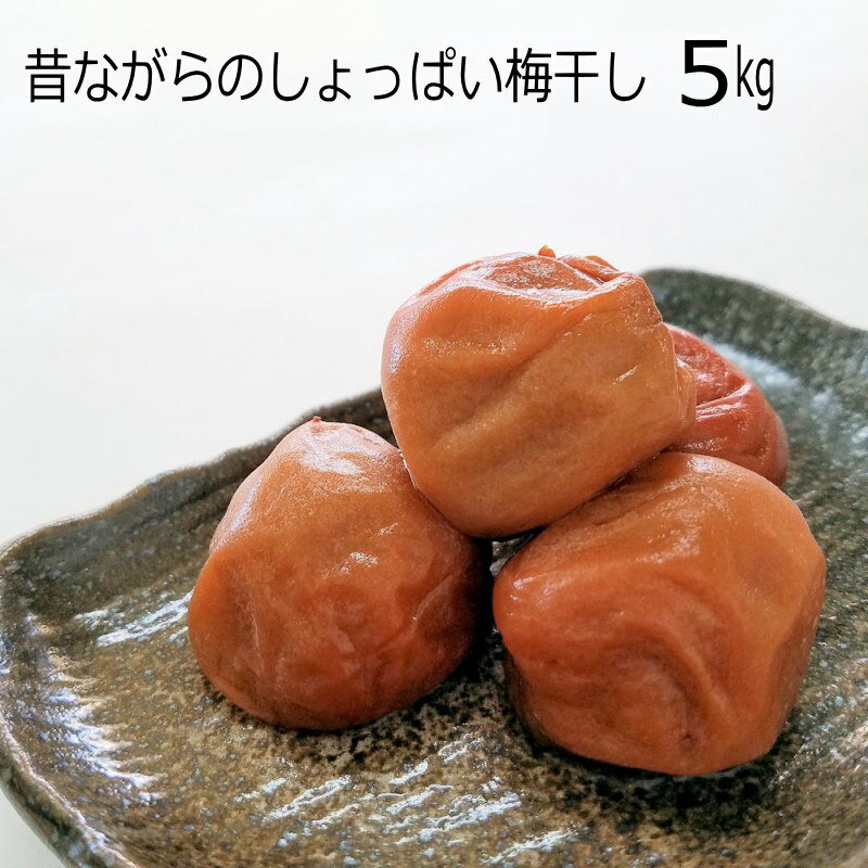 【送料無料】南高梅 梅干し≪白干し≫5kg 訳あり つぶれ梅