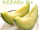 【送料無料】マスクメロン 2玉入り【和歌山産・高知産・愛知産・静岡産】