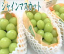 シャインマスカット 約2kg(3~5房)和歌山産・香川産・山梨産・岡山産・長野産 送料無料