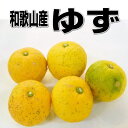 国産 柚子(ゆず)訳あり 1kg 和歌山産【本ゆず・花ゆず】...