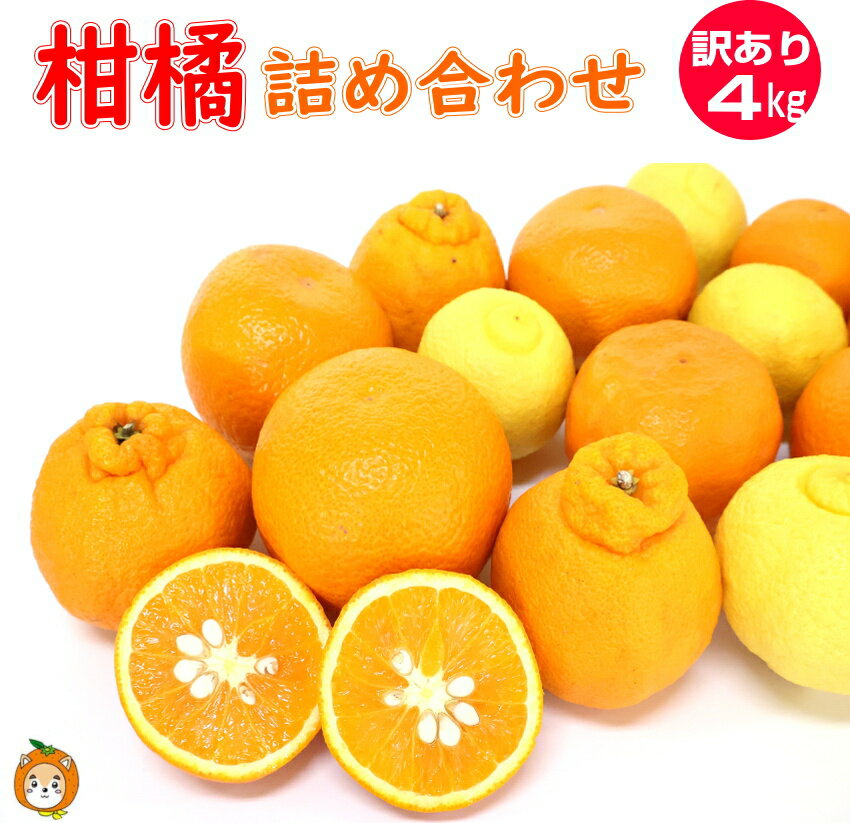 旬の柑橘詰め合わせ 訳あり 4kg 和歌山産 4種以上 柑橘セット