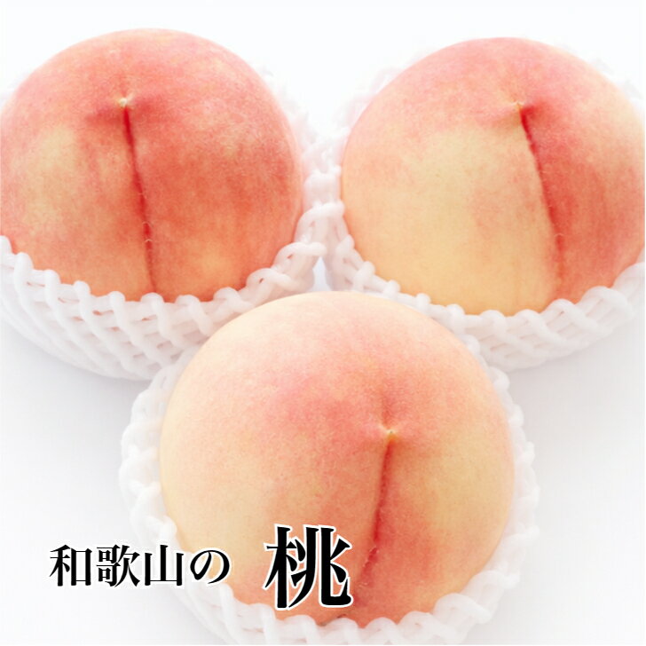 Rakuten - 美味し〜い桃 6玉入り 和歌山産 送料無料
