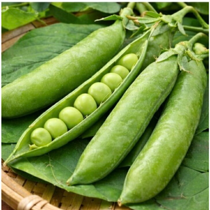 �²λ�����������Ʀ(����������) 1kg��2kg