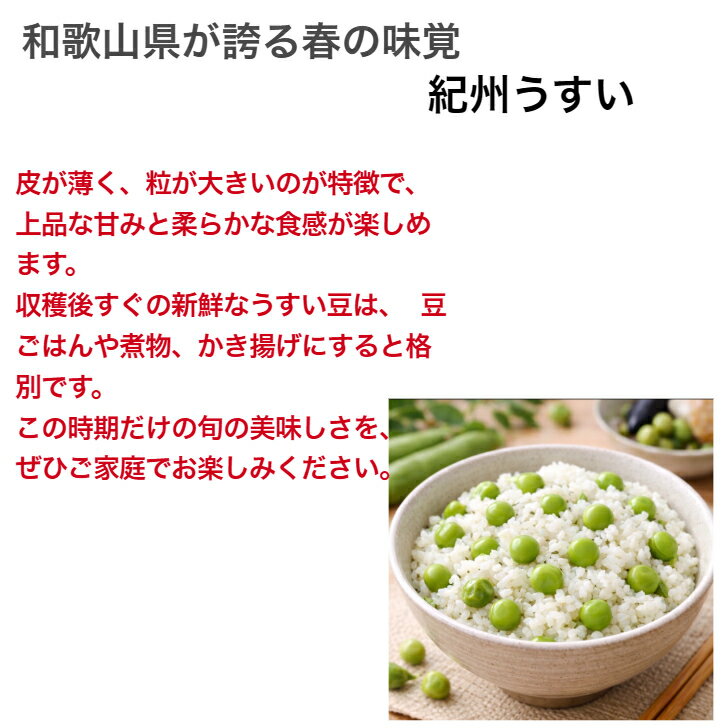 サンプル画像2
