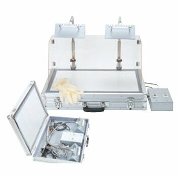 アメランプ 2灯式 312500(トランクタイプ)【代引き不可】【業務用】【アメ細工】