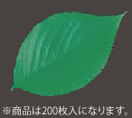 型抜きクリアシート(200枚入) 65787 木の葉【業務用厨房機器厨房用品専門店】