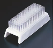 ■お得な10個セット■両面爪ブラシ No.77【手洗い】【ネイルブラシ】【ハンドブラシ】【業務用厨房機器厨房用品専門店】■お得な10個セット■