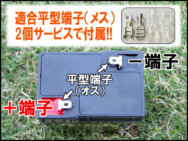 子供用電動自動車に！LONG 【標準タイプ　期待寿命3〜5年】6V4Ah 高性能シールドバッテリー（完全密閉型鉛蓄電池） WP4-6 子供用電動バイクに！交換バッテリー