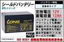 BN300T オムロン製 3000VA 2700W ラインインタラクティブ LCD搭載タワー型UPS | 無停電電源装置 | 停電対策 | 防災 | 保守 | 保護 | 地震 | 雷 | カミナリ