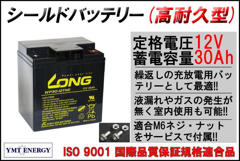 LONG 耐久性1.5倍 期待寿命3〜5年 12V30Ah シールドバッテリー WP30-12TNE 高サイクル 完全密封型鉛蓄電池 電動リール セニアカー 電動車椅子 モーター系に最適