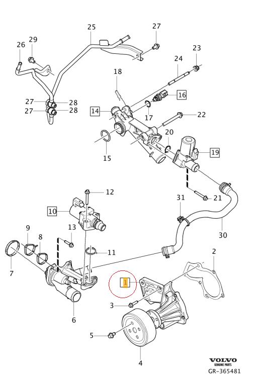 【Saleri SIL】 ウォーターポンプ [VOLVO,ボルボ,V60 / 31493369,31330943,PA1422A]