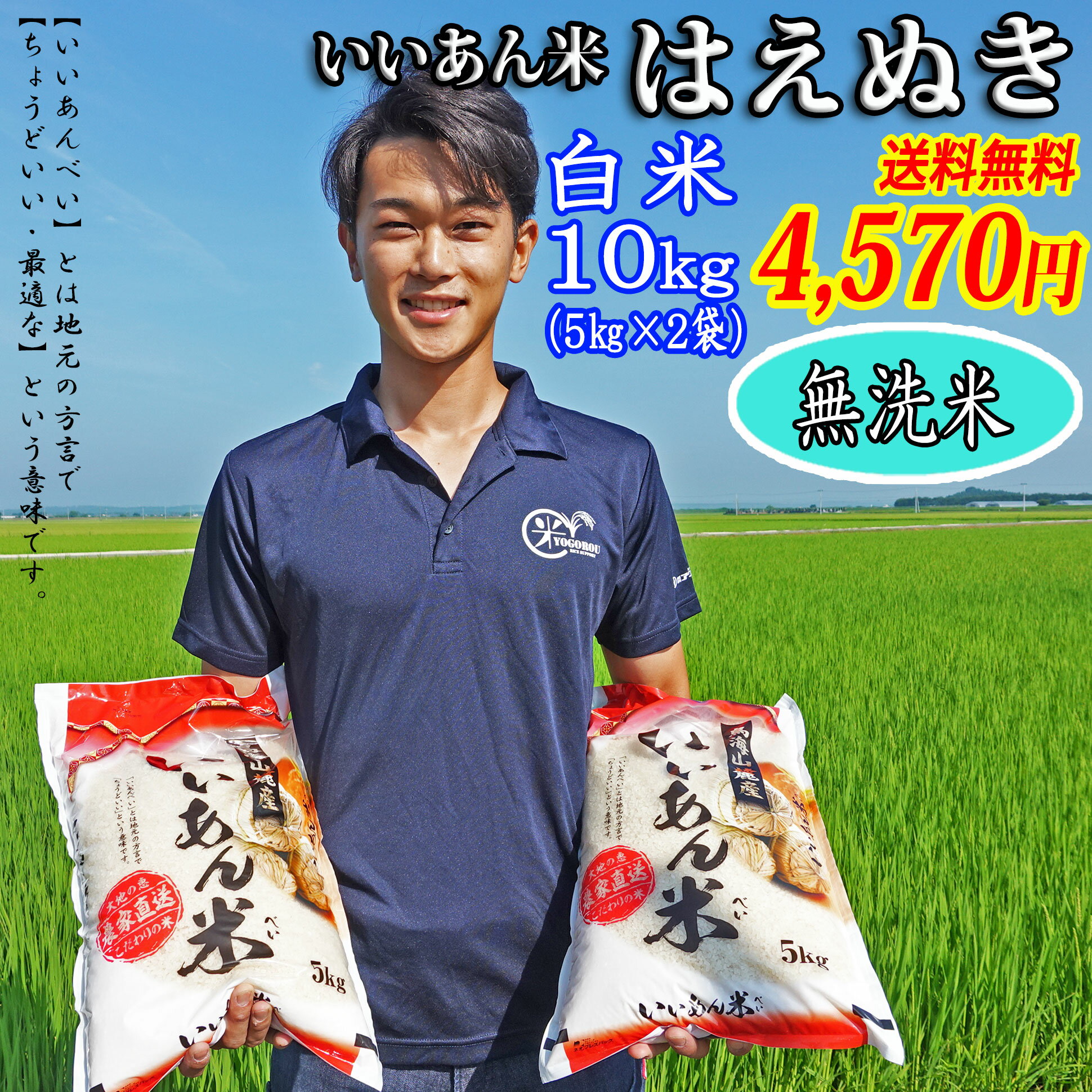 米 お米 10kg 送料無料 5kg×2袋 無洗米 白米 はえぬき いいあん米 令和3年産 山形 庄内